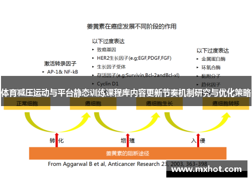 体育减压运动与平台静态训练课程库内容更新节奏机制研究与优化策略