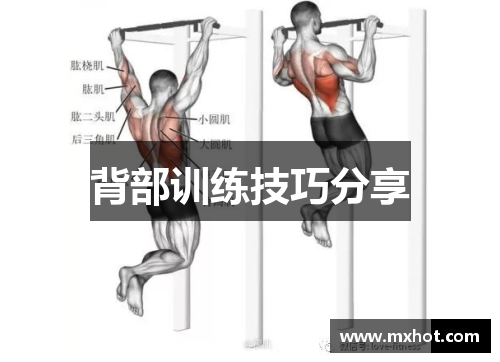 背部训练技巧分享